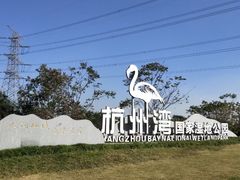 -宁波杭州湾国家湿地公园