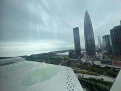 -小南洋海景餐厅(深圳湾店)