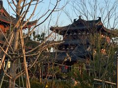 -江心屿景区