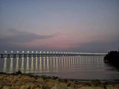 -宝安西湾红树林湿地公园