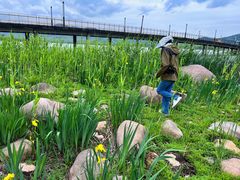 -江阴敔山湖公园