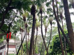-荔湾湖公园