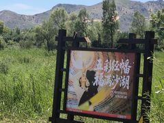 -玉龙沙湖景区