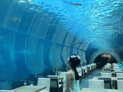 -涛·海底餐厅·美人鱼·自助餐·海底隧道(三亚海棠湾洲际度假酒店)