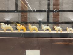 -大连自然博物馆·地球展厅