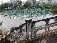 -扬美古镇景区