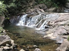 -大奇山国家森林公园