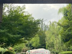 -习家池