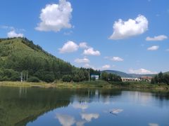 -洮儿河国家湿地公园