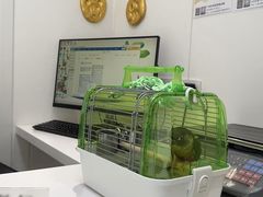 -立德异宠动物医院.兔鸟爬.内窥镜(天河店)