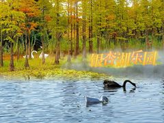 -南京银杏湖乐园