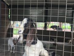 -迪茵湖田家舍生态农场