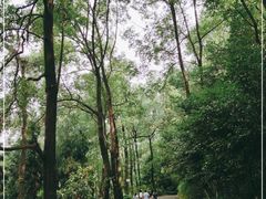 -重庆抗战遗址博物馆