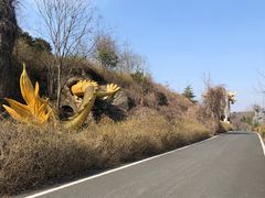 -宜兴龙背山森林公园