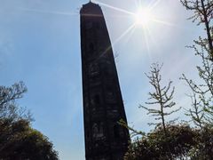 -上海佘山国家森林公园天马山园