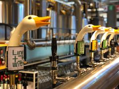 -Goose Island Brewhouse鹅岛精酿啤酒酿造工坊餐厅