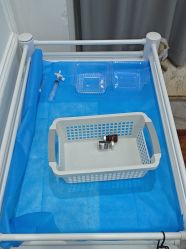 -洁铭新加坡医美