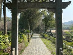 -白马涧龙池景区