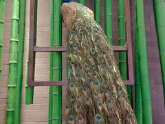 -雀舞云南菜(天津天河城购物中心店)