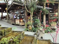 -青城甲(青城山店)