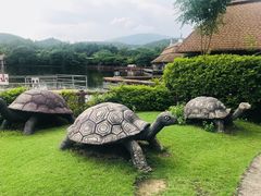 -清迈夜间动物园