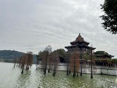 -顺峰山公园