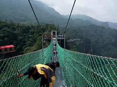 -梦幻奥陶纪景区
