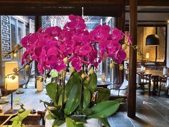 -花迹·金陵南京菜(老门东店)