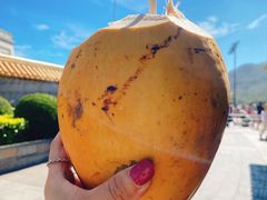 -三亚南山文化旅游区