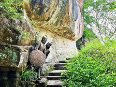 -铁山坪森林公园