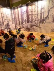 -恐龙探索乐园(磁器口店)