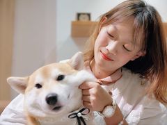 -柴务处·柴犬主题狗咖