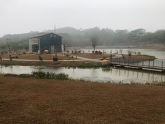 -东莞植物园