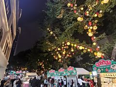 -越秀西湖花市(广州城市广场花卉店)