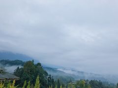 -碧峰峡风景区