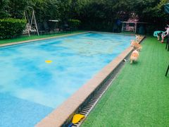 -汪说喵讲宠物乐园宠物酒店(红星美凯龙店)