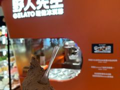 -野人先生现做冰淇淋(北京王府井东方新天地店)