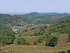 -龙井村