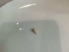 -双合园·海鲜水饺青岛菜(九水东路店)