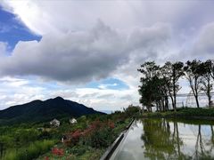 -江南天池