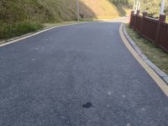 -黄埔油麻山森林公园