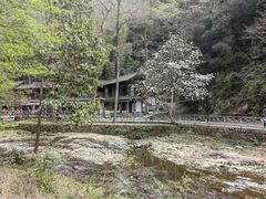 -五泄景区