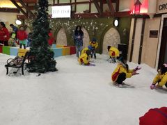 -世界之窗阿尔卑斯冰雪世界