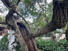 -汇龙潭