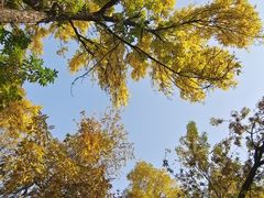 -元大都城垣遗址公园