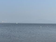 -深圳湾公园(南山区)