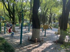 -瀛洲公园