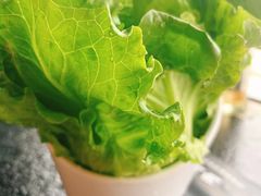 -牛鲜盛齐齐哈尔烤肉(曹路店)