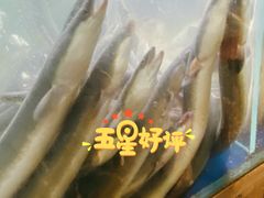 -本炙炭烤·蒲烧活鳗料理店(金沙洲店)