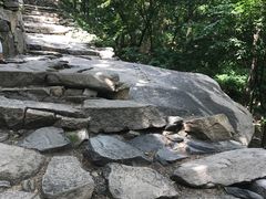 -北京鹫峰国家森林公园